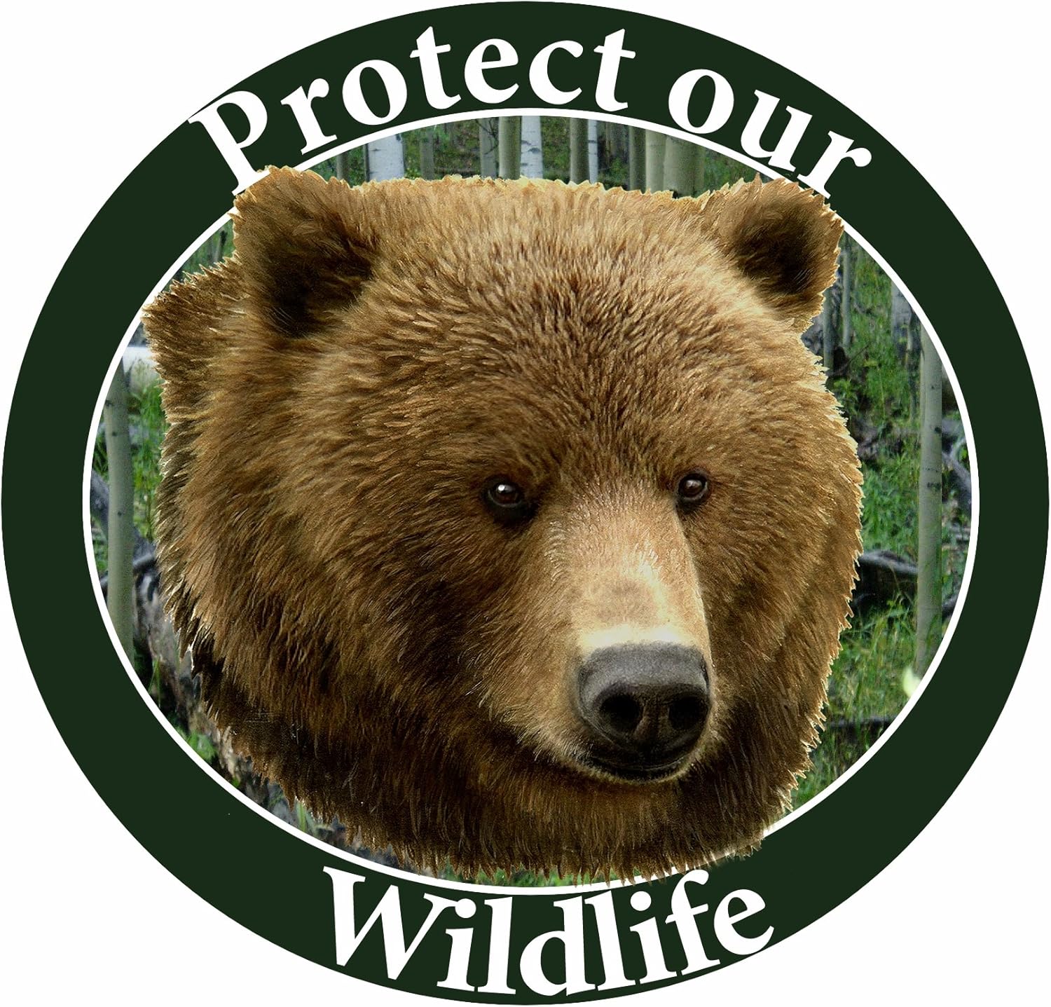 "protect our wildlife"汽车磁铁,中间带有逼真外观的